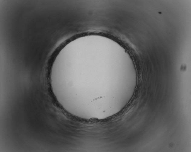 X0000102851256200809021352