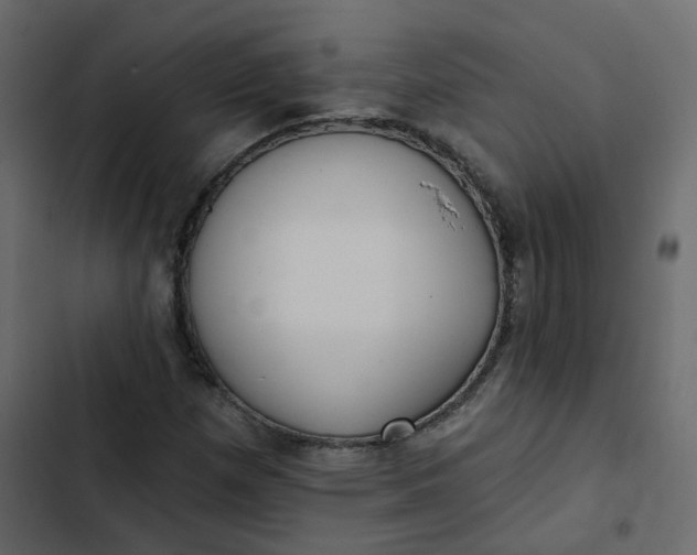 X0000102851257200809021352