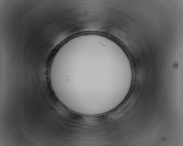 X0000102851258200809021352