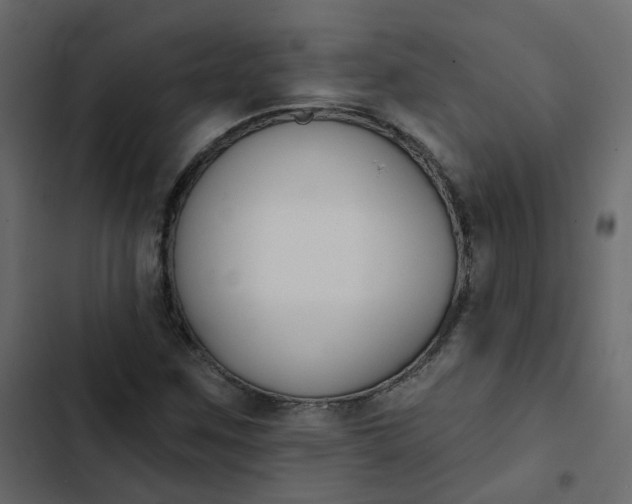 X0000102851259200809021352