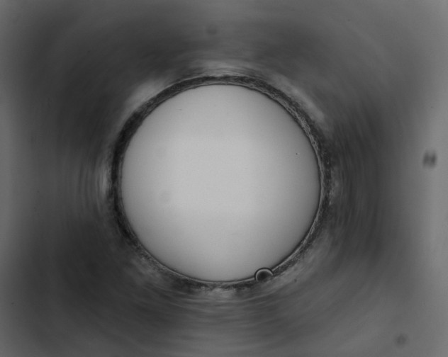 X0000102851261200809021352