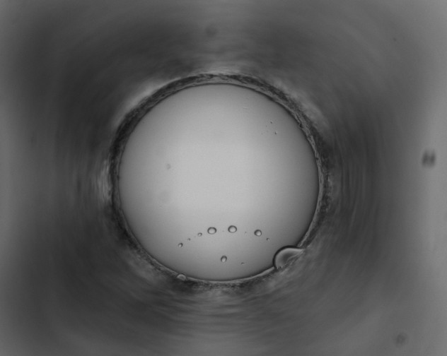 X0000102851262200809021352