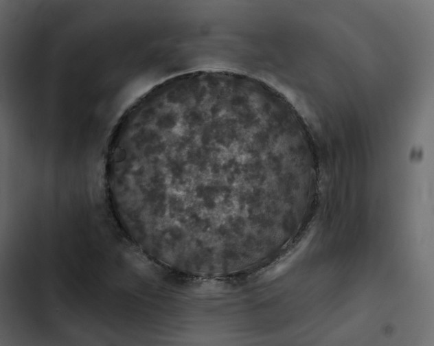 X0000102851263200809021352