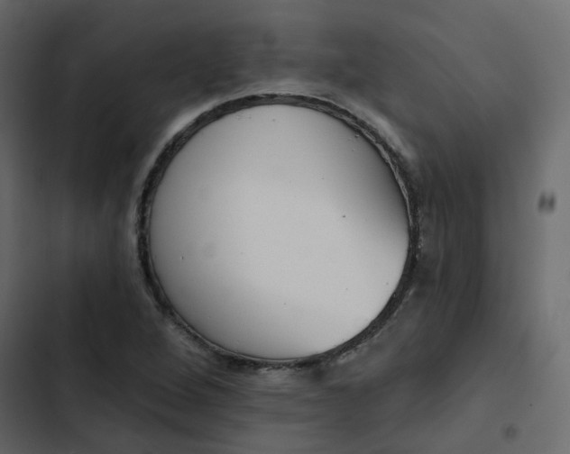 X0000102851264200809021352