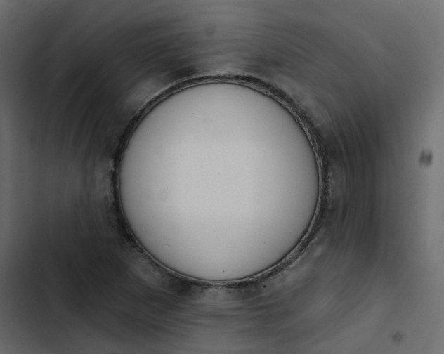 X0000102851265200809021352