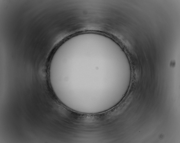 X0000102851266200809021352