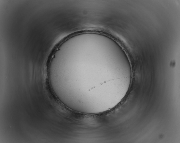 X0000102851267200809021352