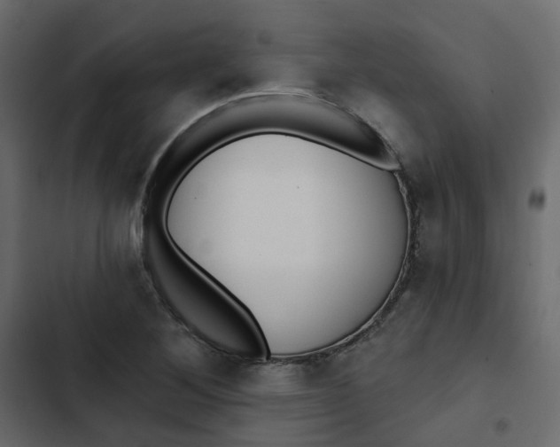 X0000102851268200809021352