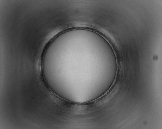 X0000102851269200809021352