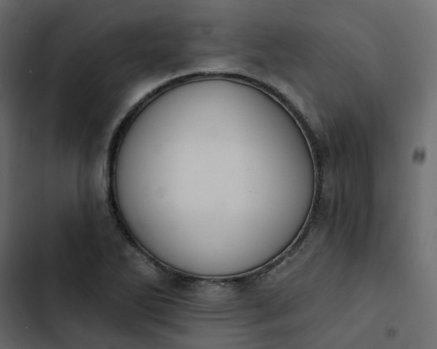 X0000102851270200809021352