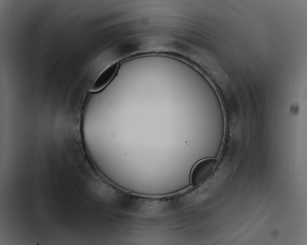 X0000102851273200809021352