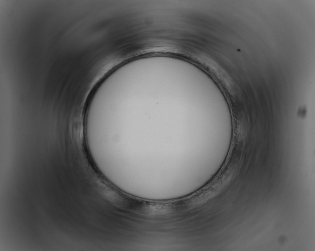 X0000102851274200809021352