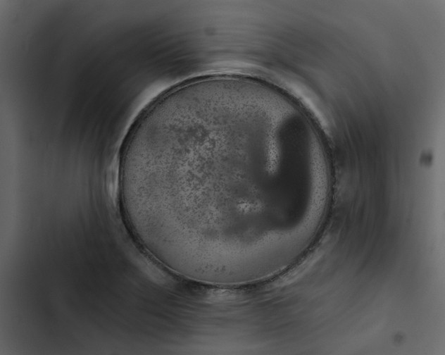 X0000102851275200809021352