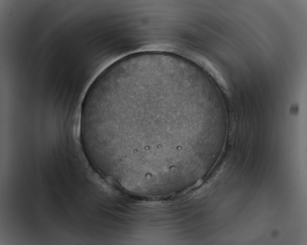 X0000102851276200809021352