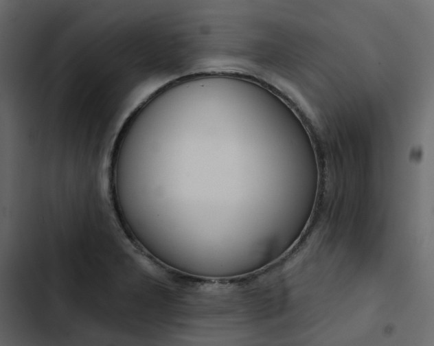 X0000102851277200809021352