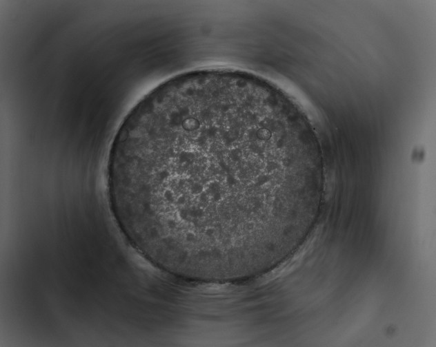 X0000102851279200809021352