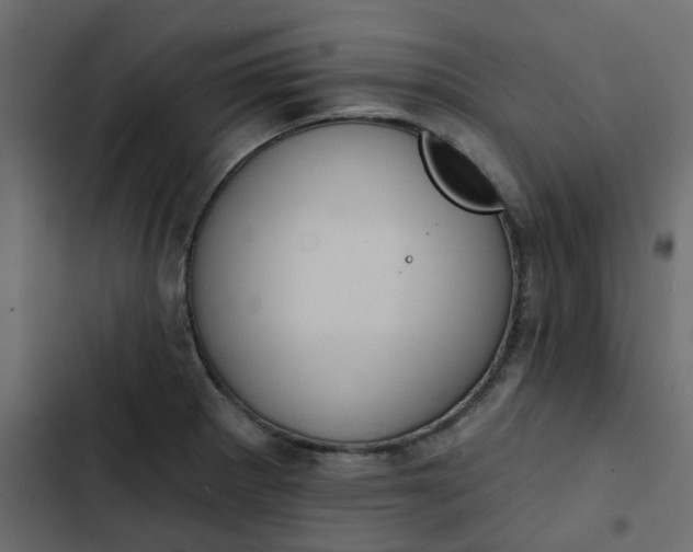 X0000102851281200809021352