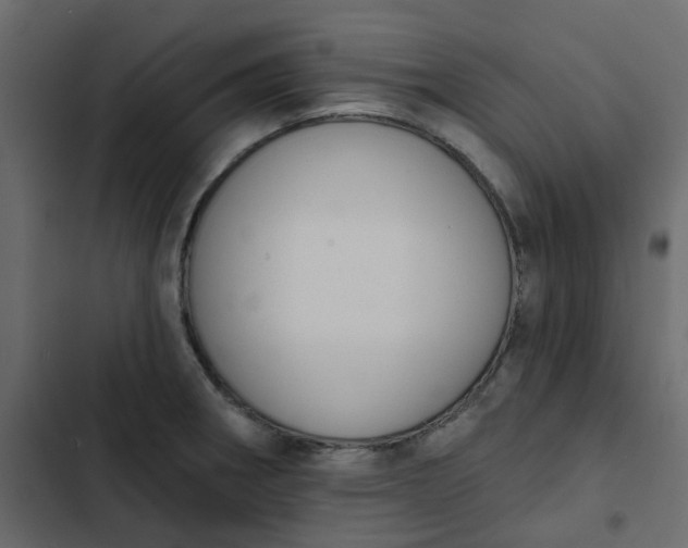 X0000102851282200809021352