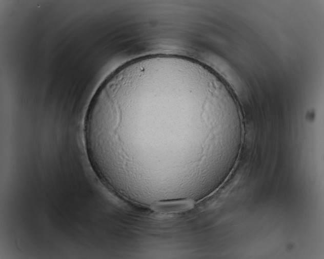 X0000102851283200809021352