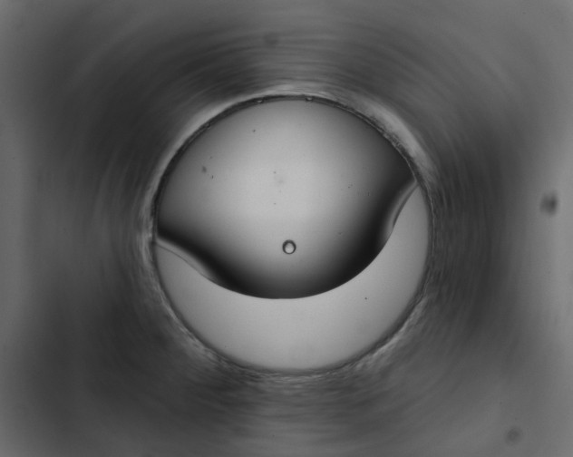 X0000102851284200809021352