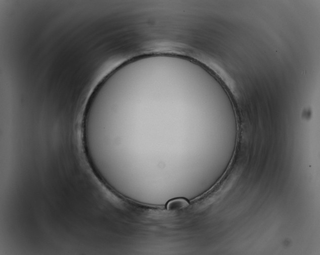 X0000102851285200809021352