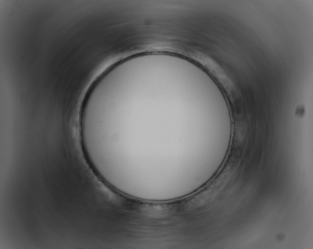 X0000102851286200809021352