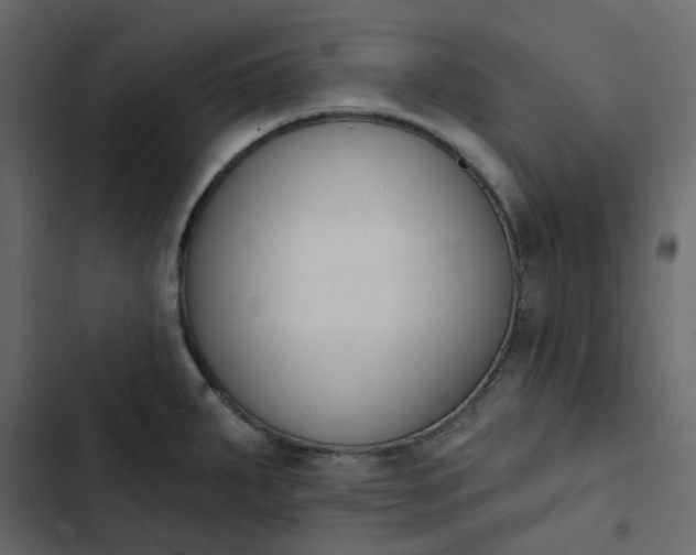 X0000102851287200809021352