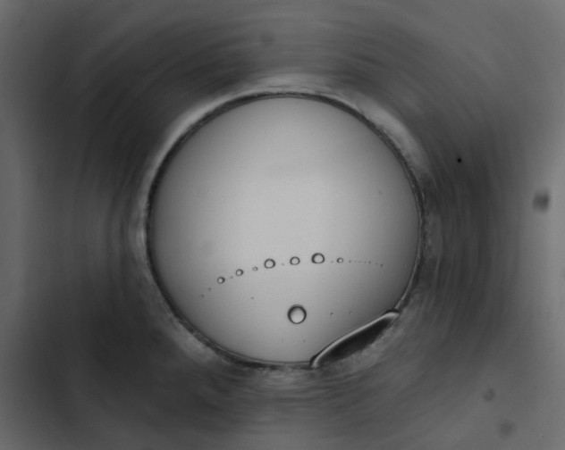 X0000102851288200809021352