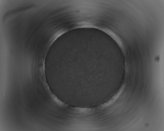 X0000102851289200809021352