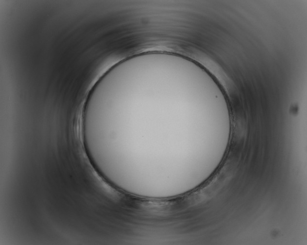 X0000102851290200809021352