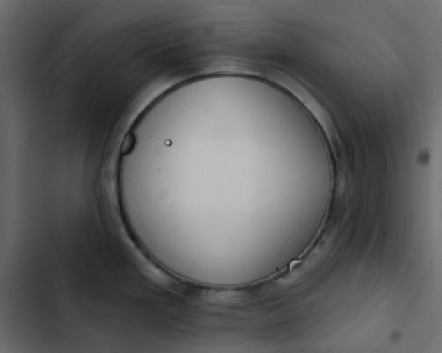 X0000102851293200809021352