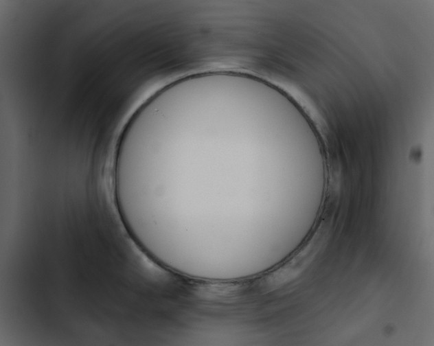 X0000102851294200809021352