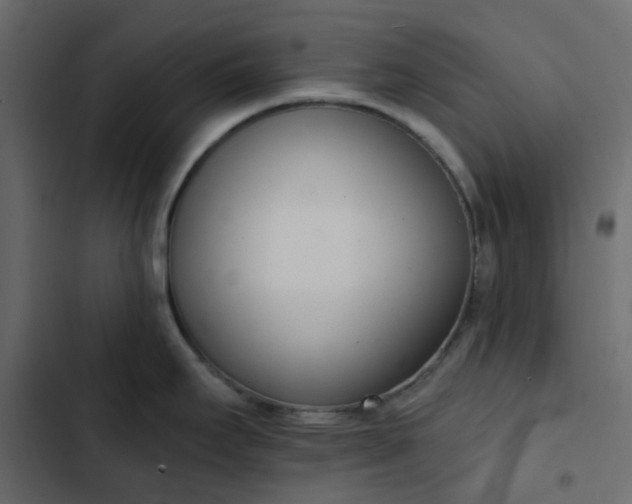 X0000102851295200809021352