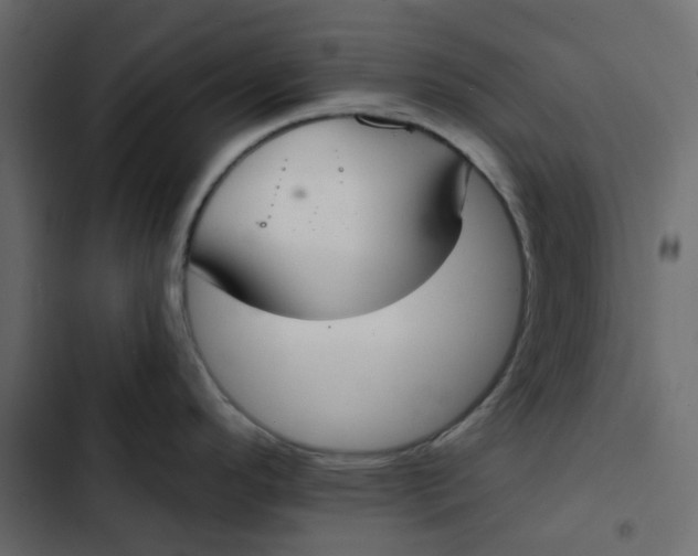 X0000102851296200809021352