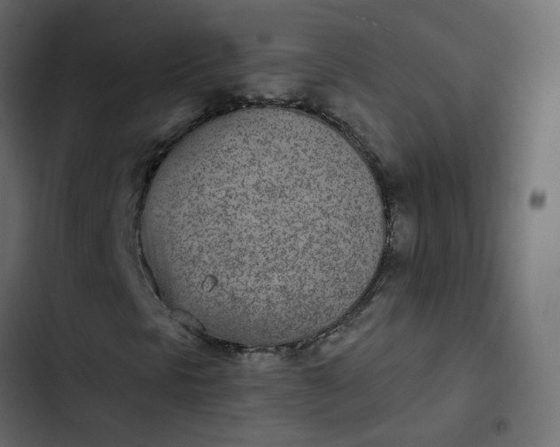 X0000102851297200809021351