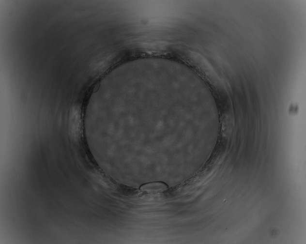 X0000102851298200809021351