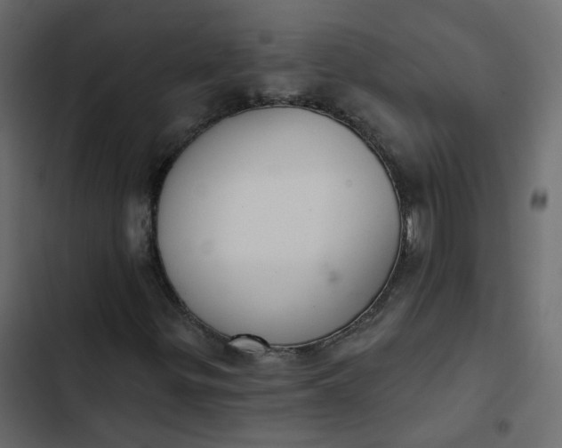 X0000102851299200809021351