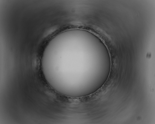 X0000102851302200809021351