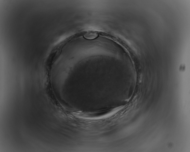 X0000102851303200809021351