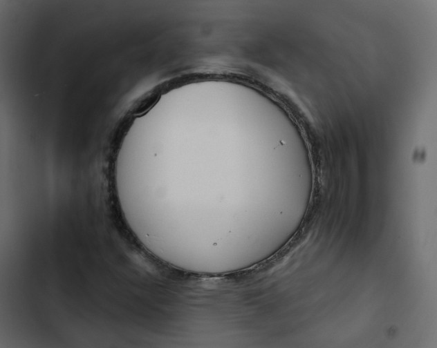 X0000102851304200809021351