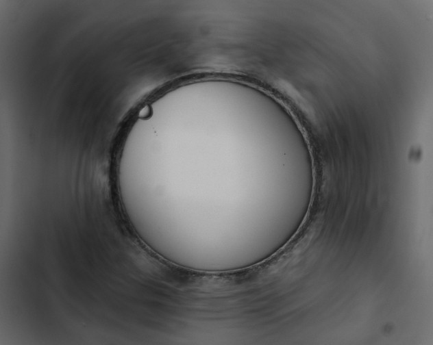 X0000102851307200809021351