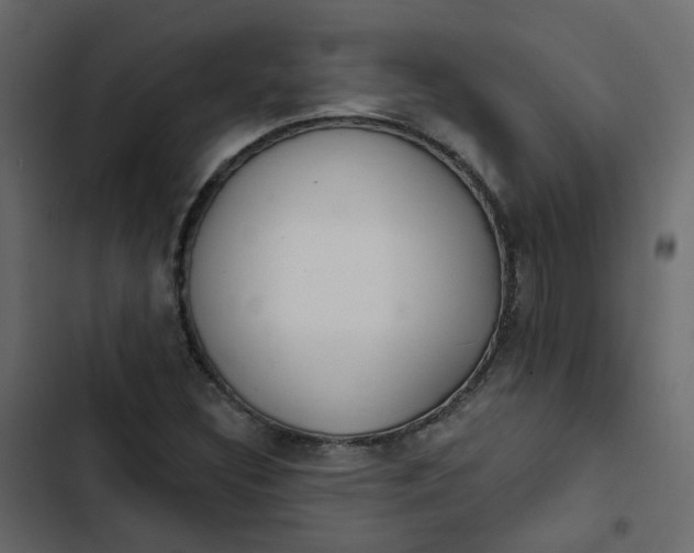 X0000102851308200809021351