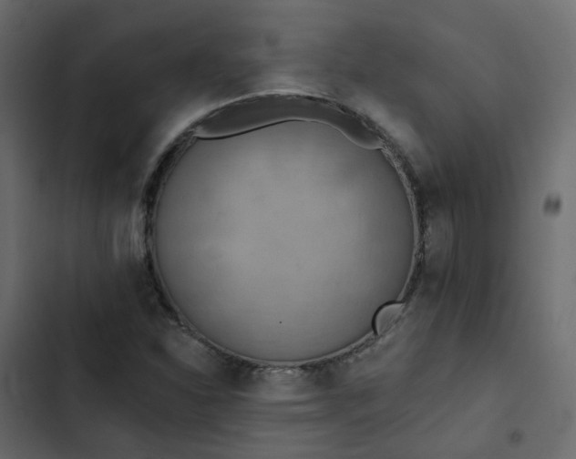 X0000102851310200809021351