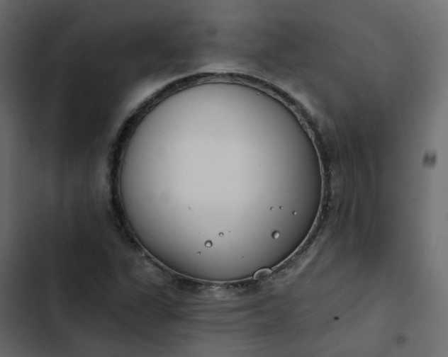 X0000102851311200809021351