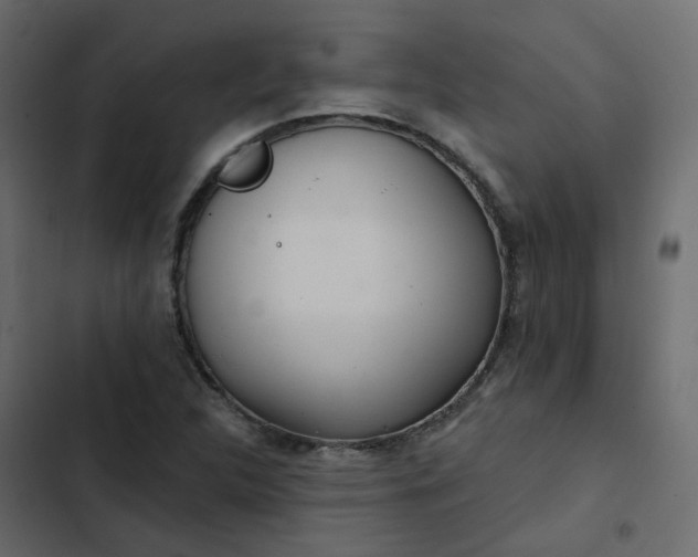 X0000102851312200809021351