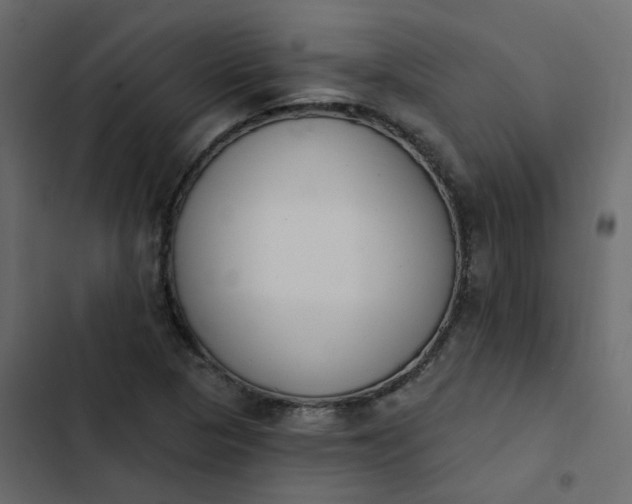 X0000102851313200809021351