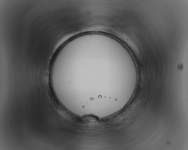 X0000102851316200809021351