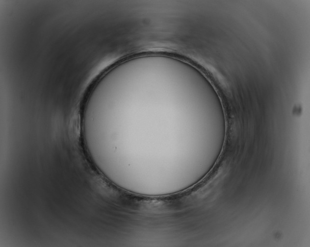 X0000102851317200809021351