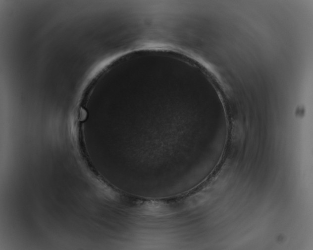 X0000102851319200809021351