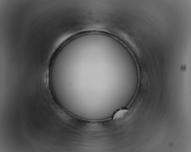 X0000102851320200809021351